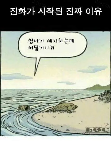 052c1-6a2f887b737b34.91931871.webp