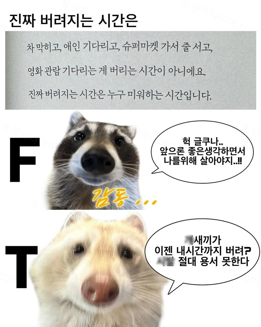 052c1-6a30c32b47d0b8.31755902.webp