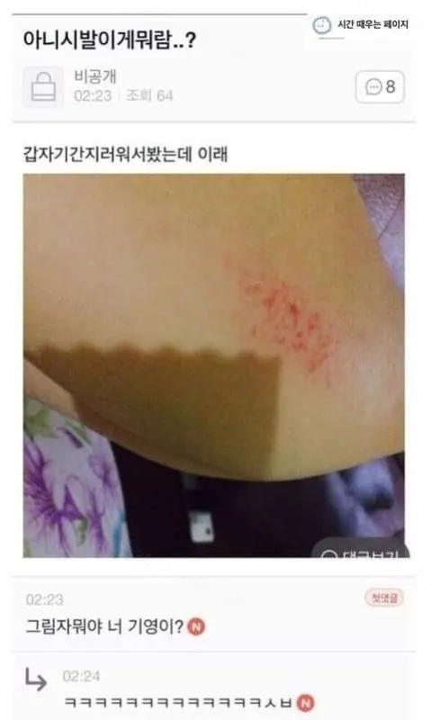 052c1-6a3514414db2c5.33611346.webp