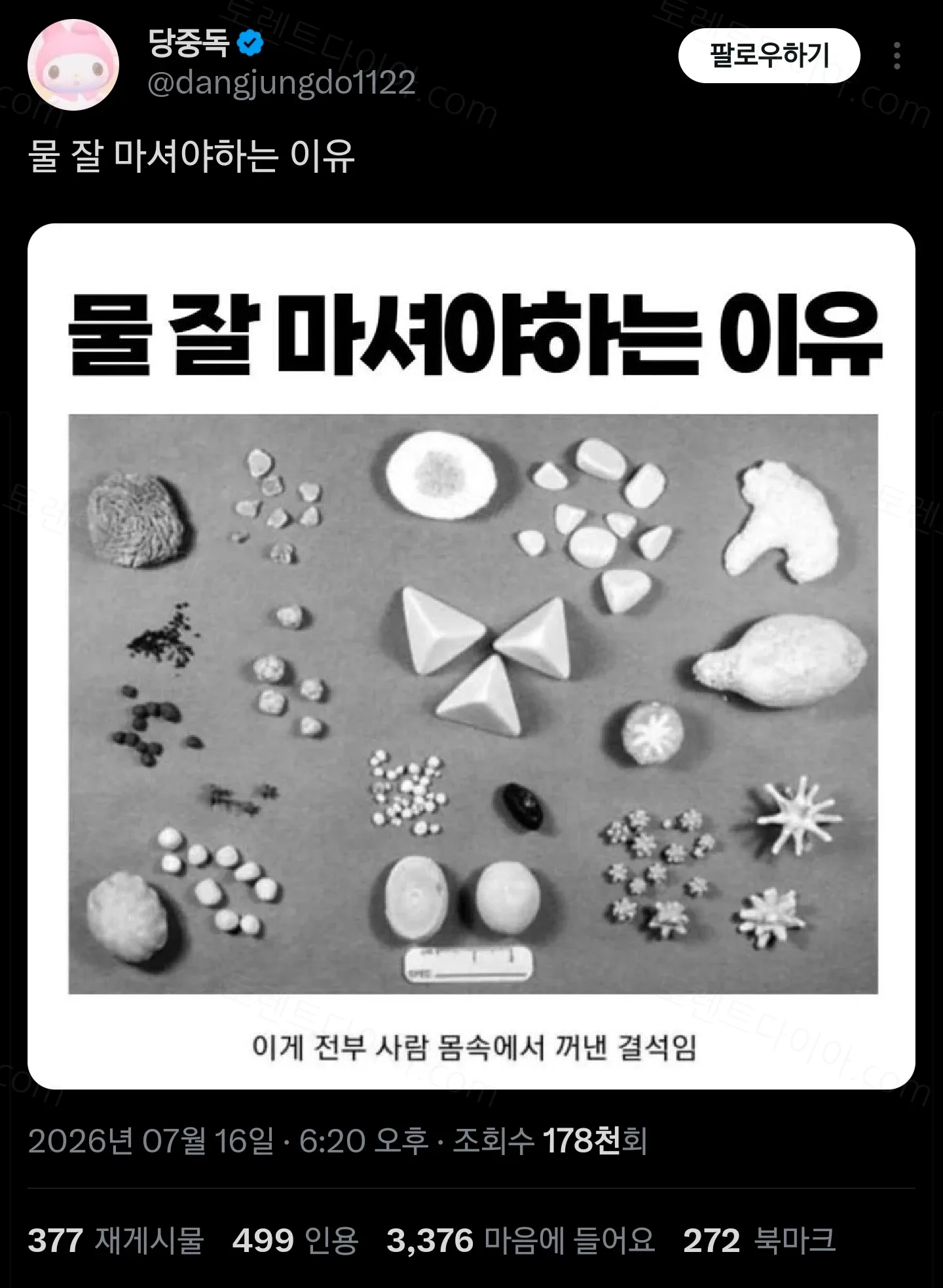 1daea-6a5d2686424136.57386564.webp