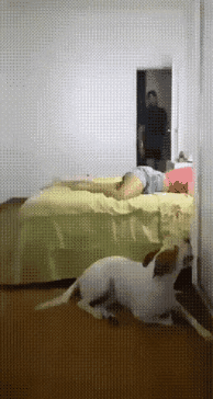 24e55-6a373bc7205151.69975417.gif