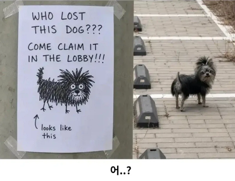 2da46-6a39a620db08a6.36656298.webp