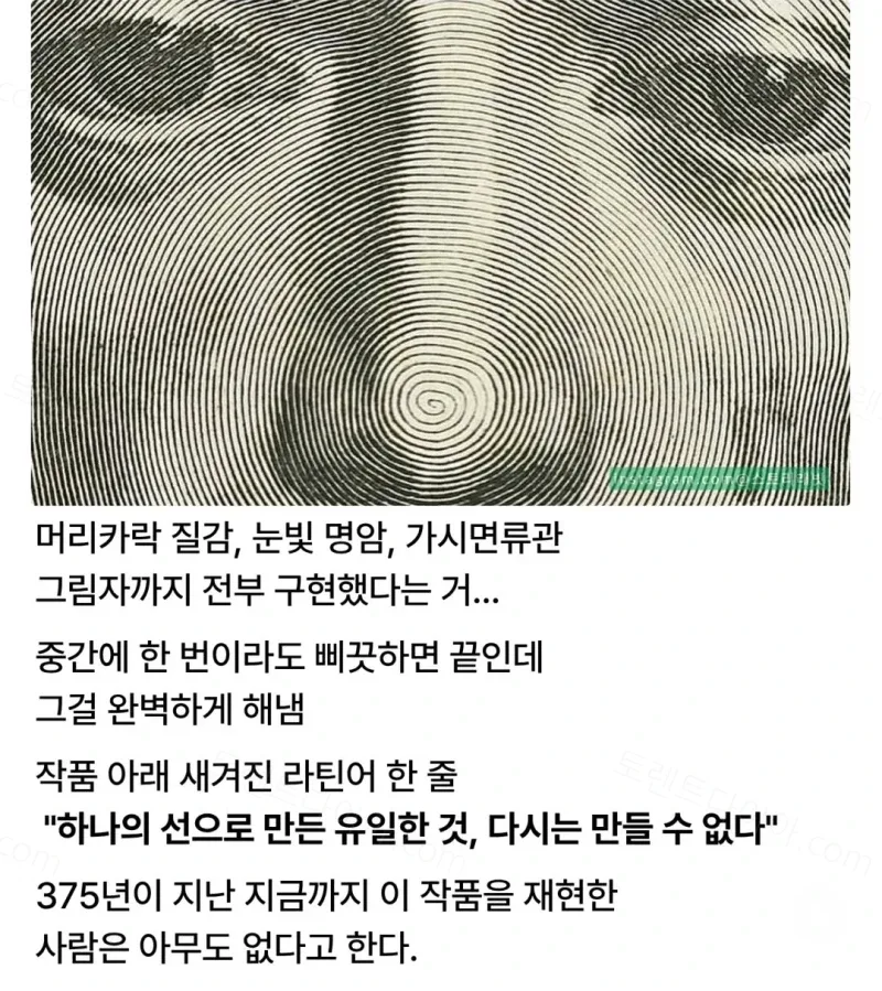 2da46-6a4b3a27b86254.62192451.webp