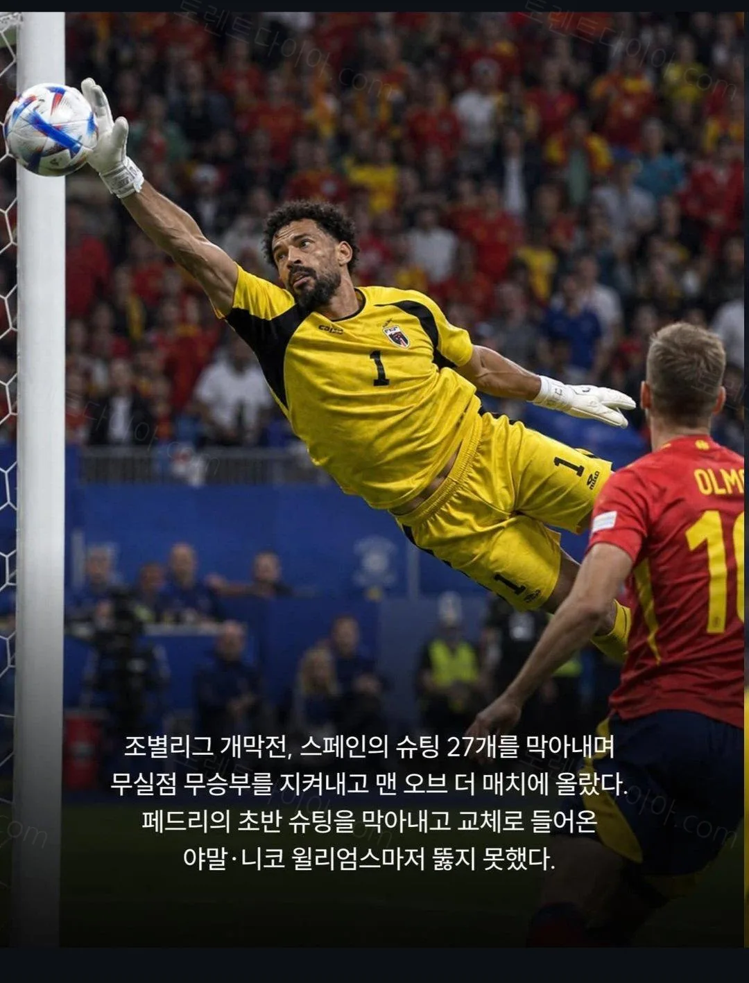 2da46-6a4d5fa8a6cc83.48961638.webp