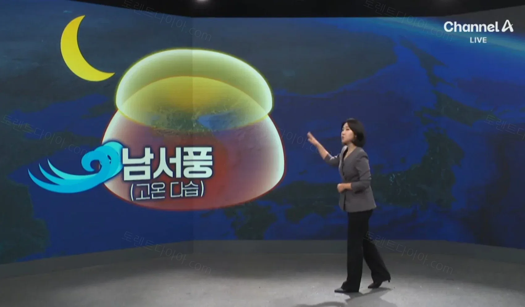 2da46-6a529ae9ed6ec8.19283716.webp