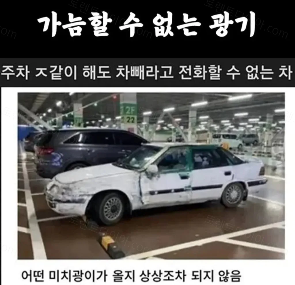 2da46-6a7cdf411958c1.36181020.webp