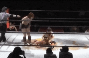 31e20-6a2b32d31290e6.61247893.gif