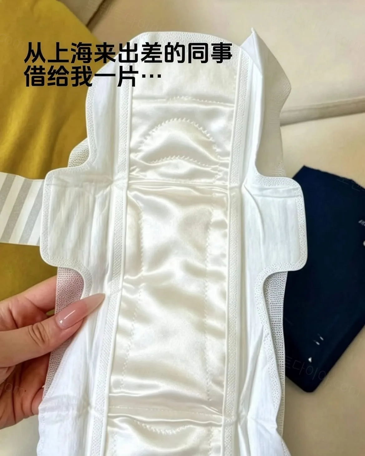 493bd-6a9e0550091919.07654109.webp