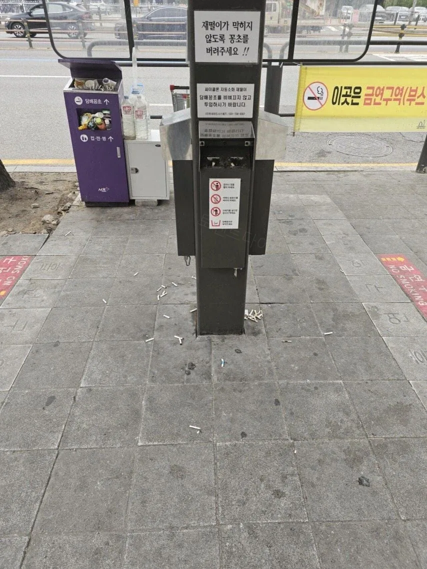 4b43b-6a9498baaaa311.75001772.webp
