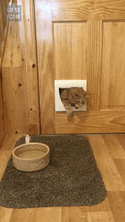 50dd3-6a7b06b5dbe2a0.56109793.gif