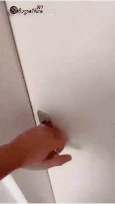 50dd3-6a7b07246dea49.82221934.gif