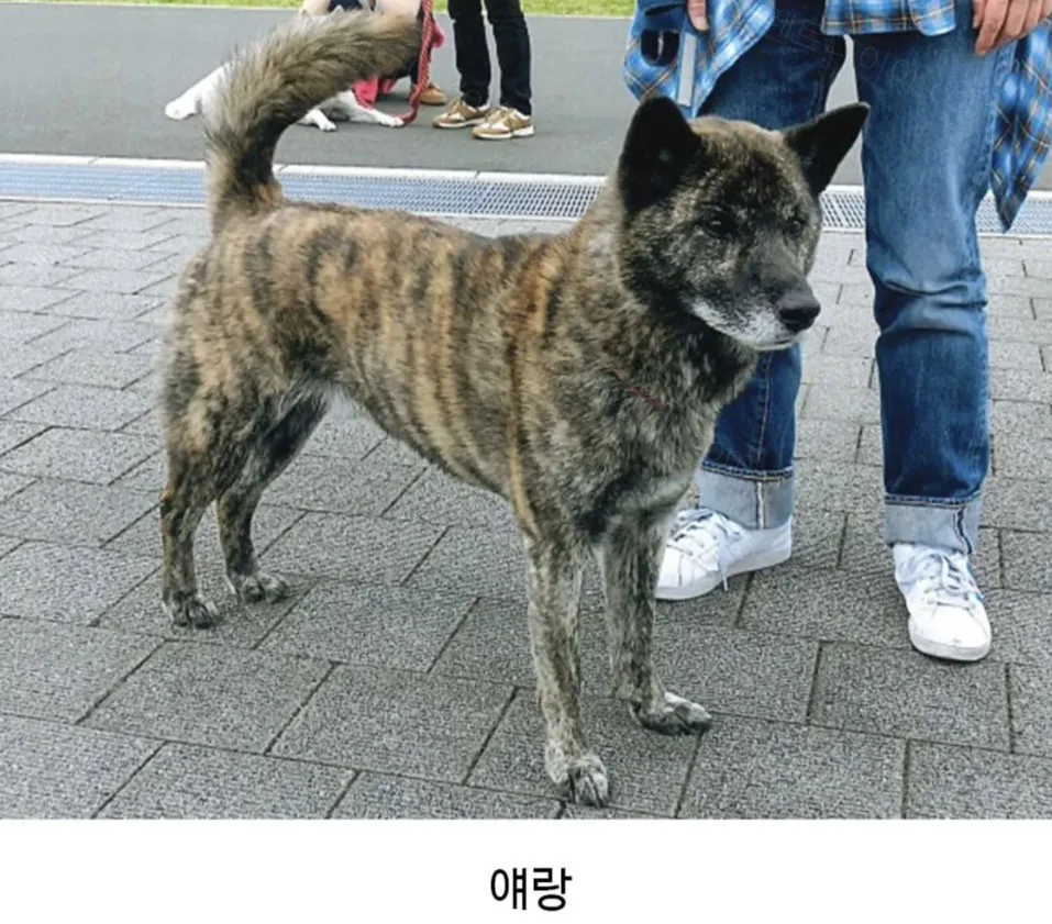 6f203-6aa5c10c1d3778.90521514.webp