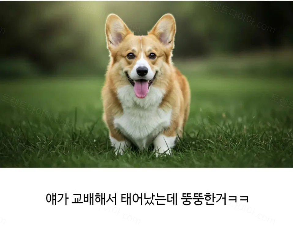 6f203-6aa5c11733ed47.95752728.webp