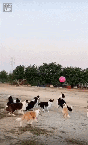 6f203-6aaaf1daba5714.04768858.gif