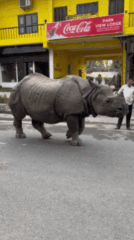 6f203-6aaee729a51741.12202819.gif