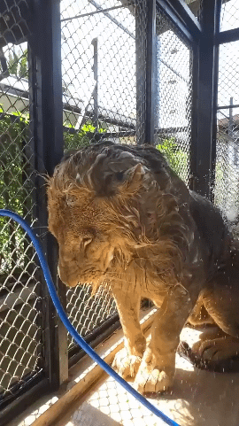 6f203-6ae3b2ae6a0616.72392137.gif