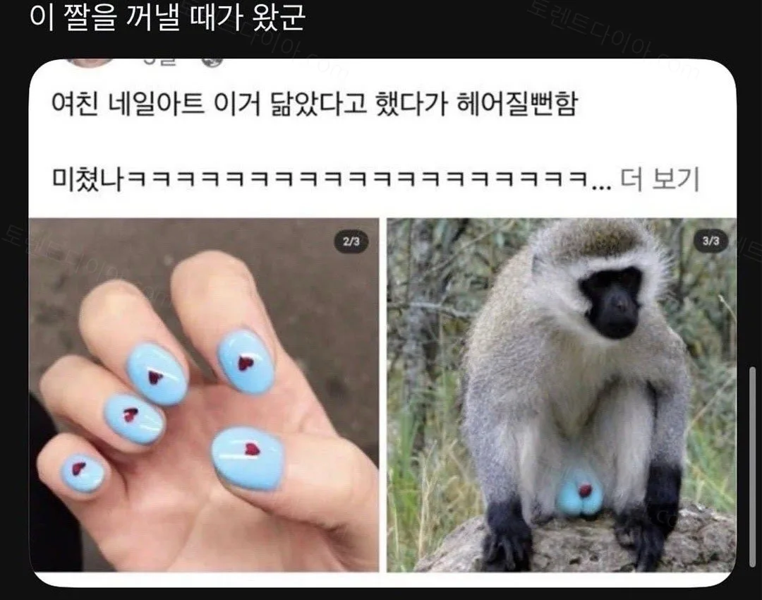 7c50d-6ae141ae507873.25519906.webp