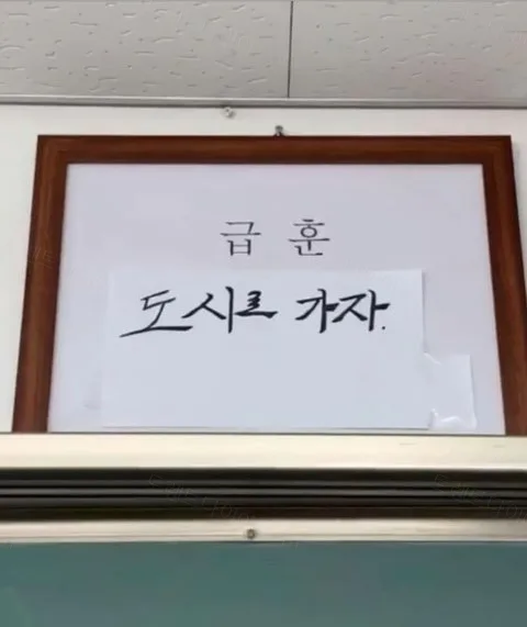 7caea-6a3247d1d54be4.76065639.webp