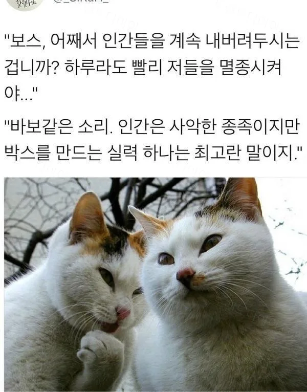 80045-6a7aaaf1e0c1c8.33652763.webp