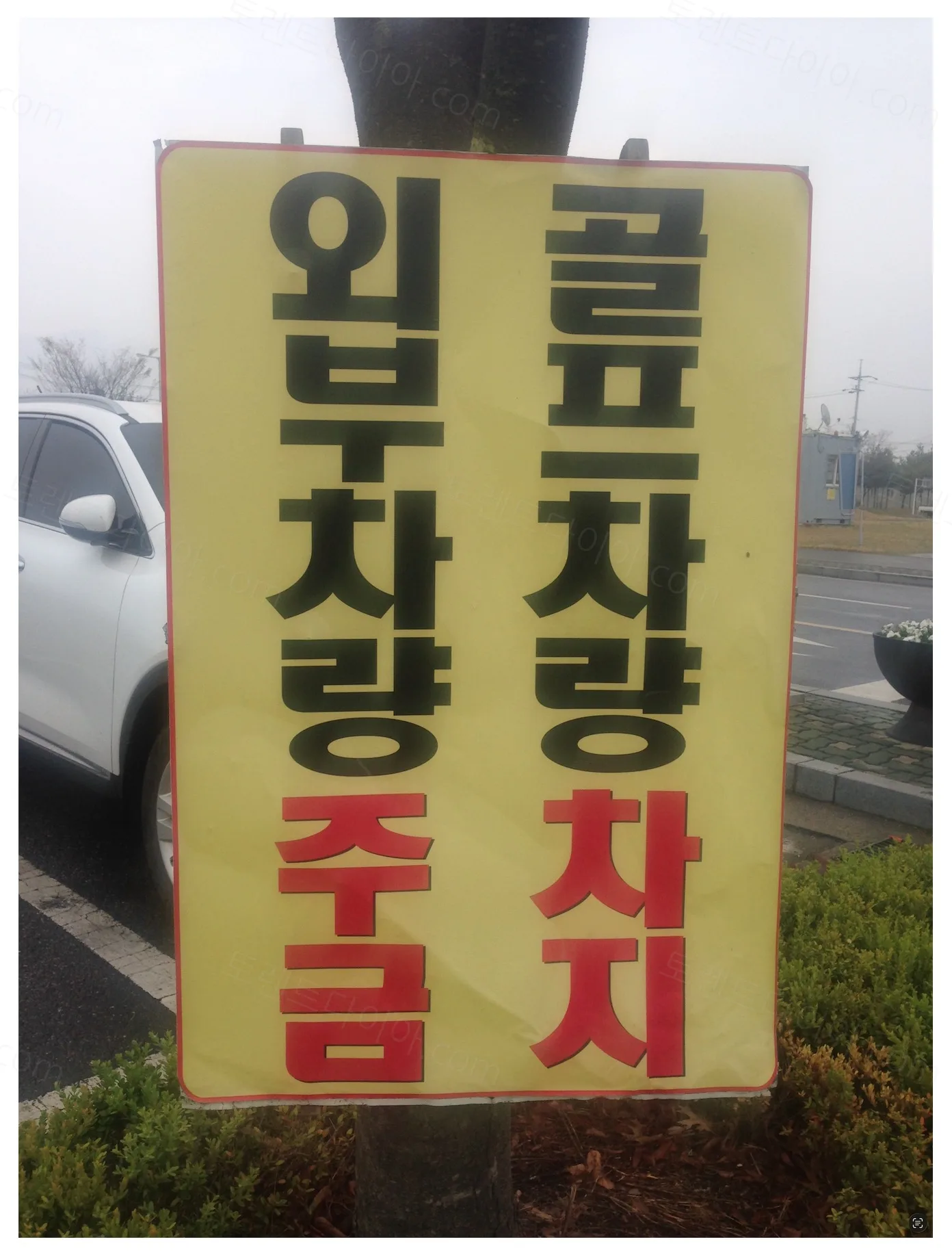 8b0a7-6ad92d310fd1b1.77089820.webp
