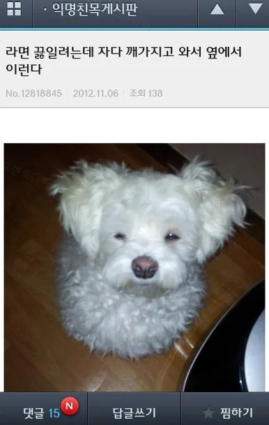 8dab7-6a72c0a27565c4.09325110.webp