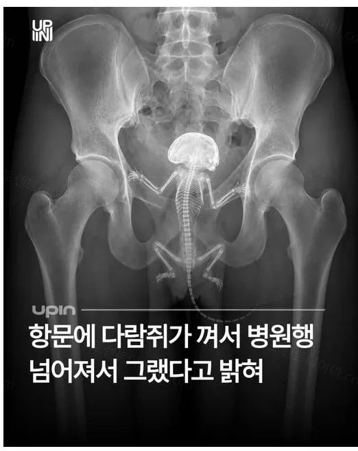 8f4ed-6ae609a5c204f3.77437058.webp