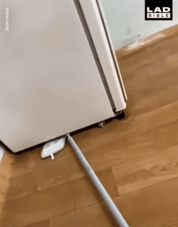 931a3-6a4212be41bb12.01162695.gif
