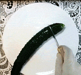 931a3-6a421359437fb9.94360206.gif
