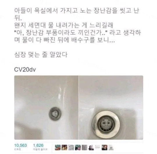 931a3-6a487fbdf03491.12741709.webp