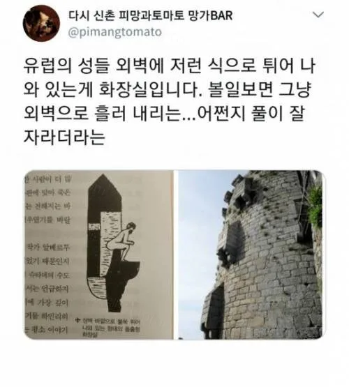 931a3-6a5306ce7fb732.41197126.webp