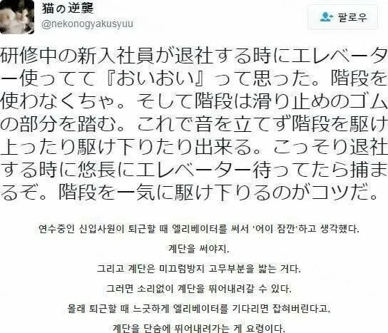 931a3-6a530ab2423e54.90876799.webp
