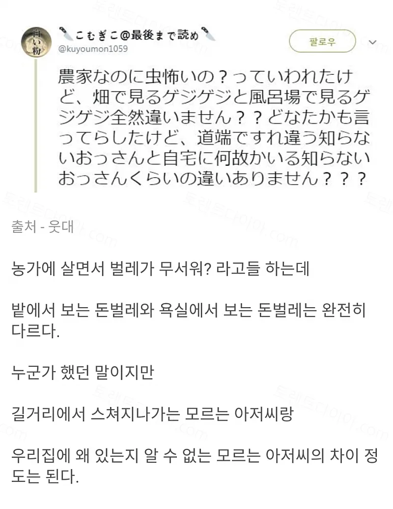 931a3-6a619723bf2639.96090527.webp
