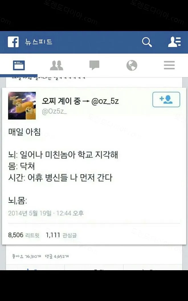 931a3-6a6abfeb9c7c82.22569130.webp