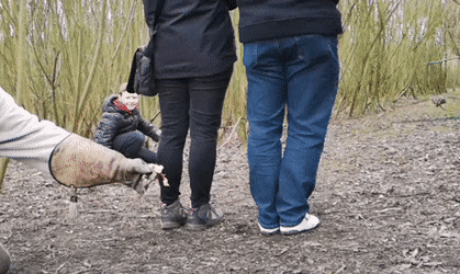 9346e-6a3f9f965cc303.95393832.gif
