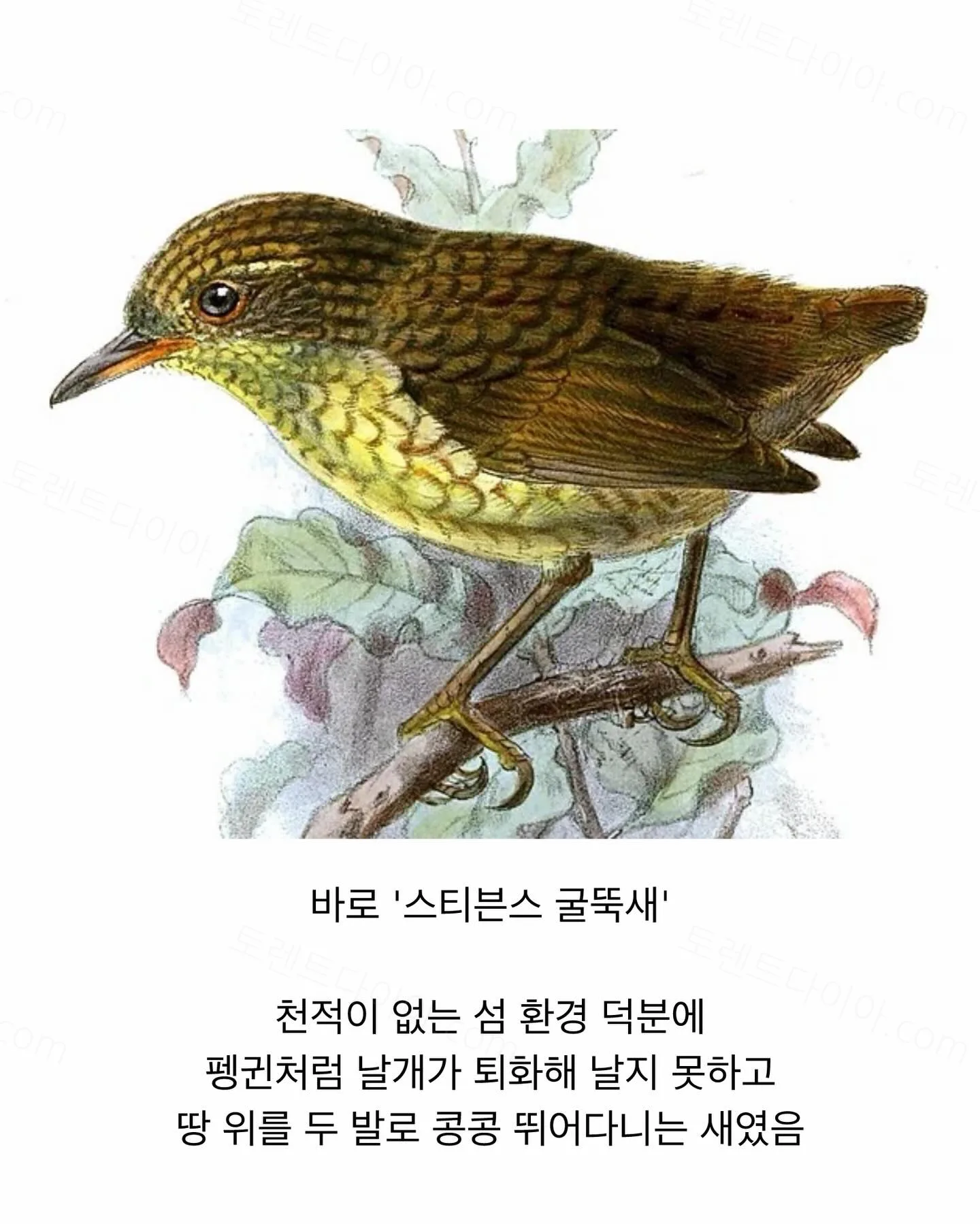 9aee9-6a6aa0d17b1924.16151344.webp