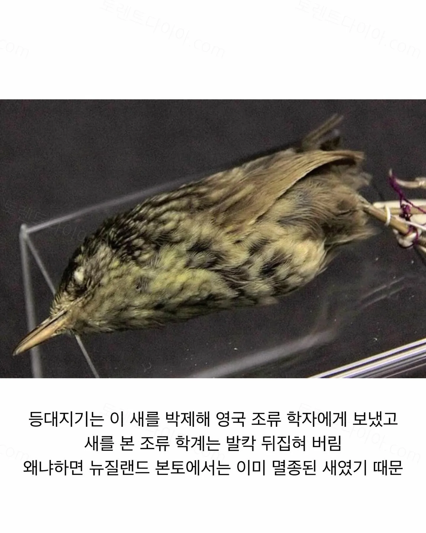 9aee9-6a6aa0d725cf97.46349738.webp