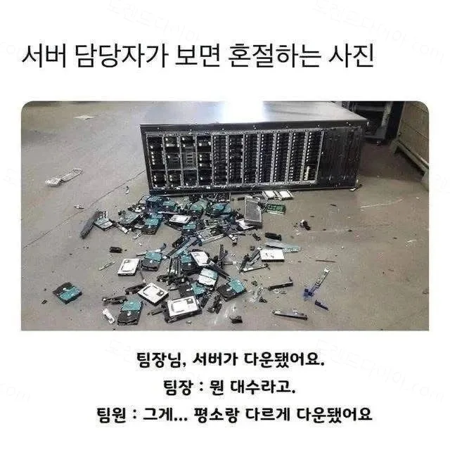 9aee9-6a73f1ebd98c58.25192315.webp