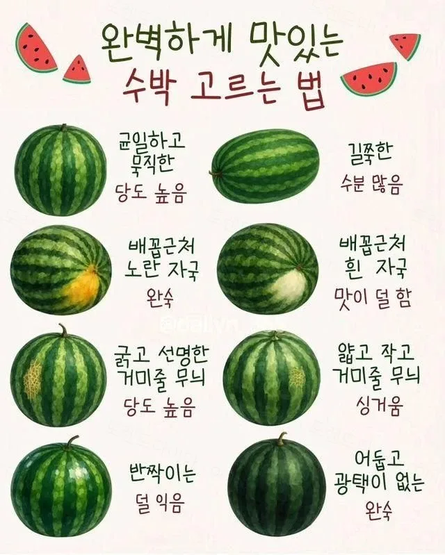 b9b7e-6a3597c4965ee6.01933374.webp