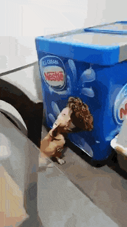b9b7e-6a3ae342a07658.17066507.gif