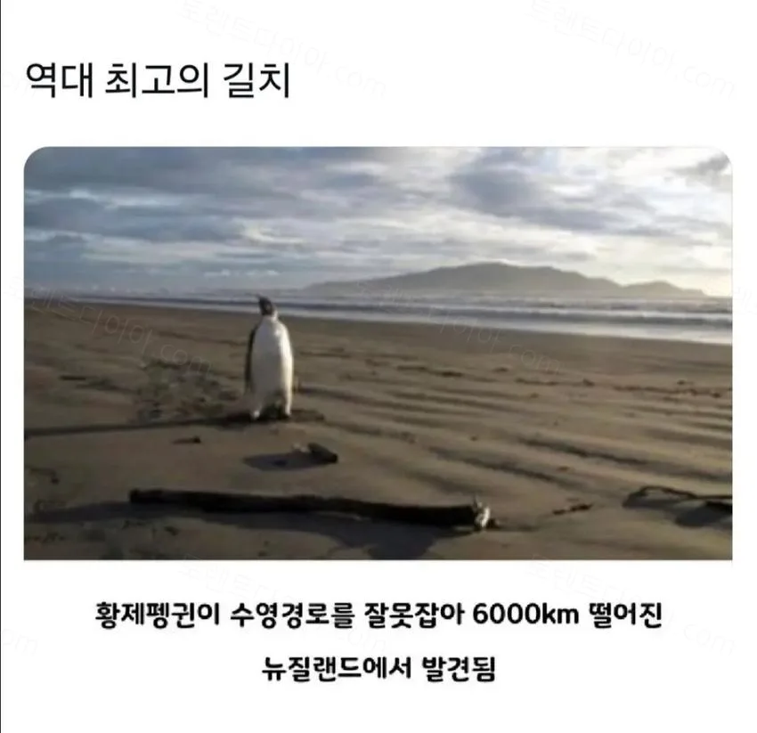 c132d-6a254f257c9be4.20426821.webp