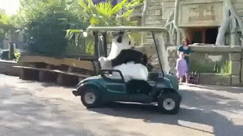 c132d-6a25508a0911e7.35791224.gif