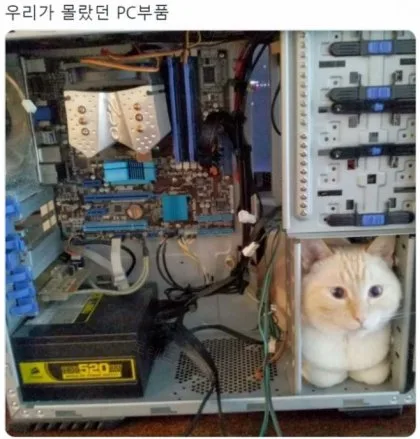 d9b2b-6a2d1c3317fbc1.05990000.webp