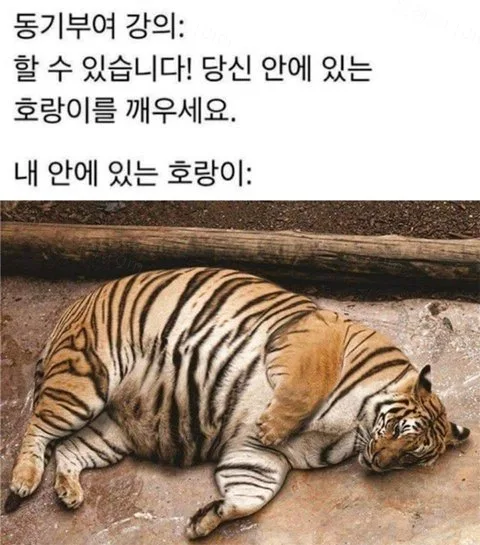 e78a5-6a1ce8958546e8.09824024.webp