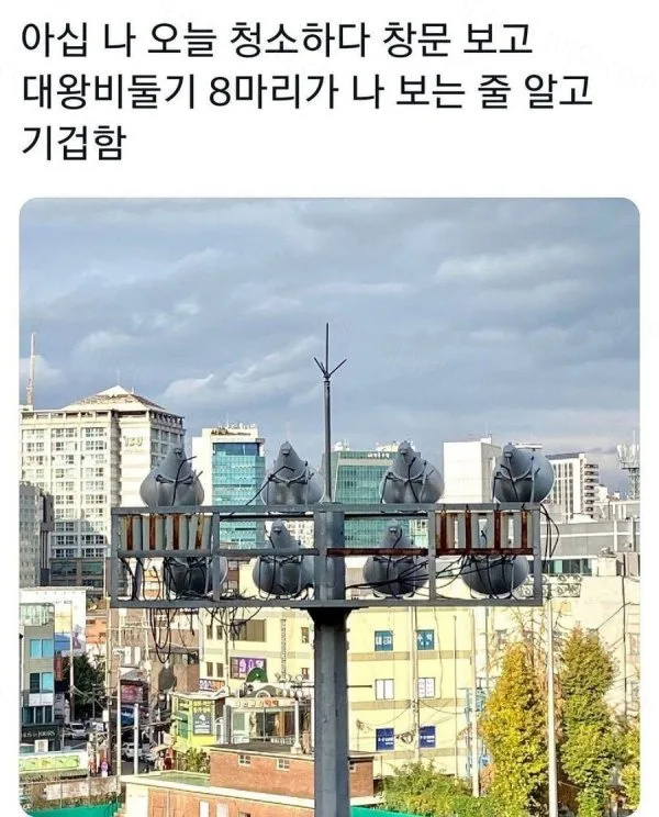 e78a5-6a2314d45ab4e4.20017034.webp