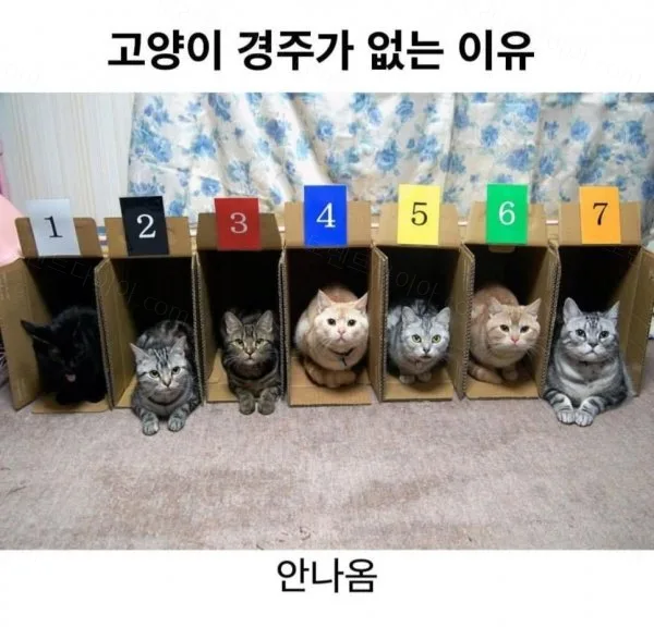 e78a5-6a283bba4f7726.75976534.webp
