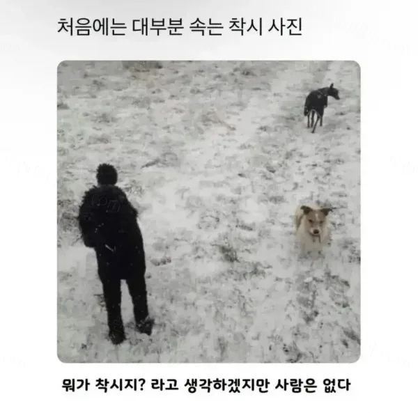 e78a5-6a283c503c71a4.10636985.webp