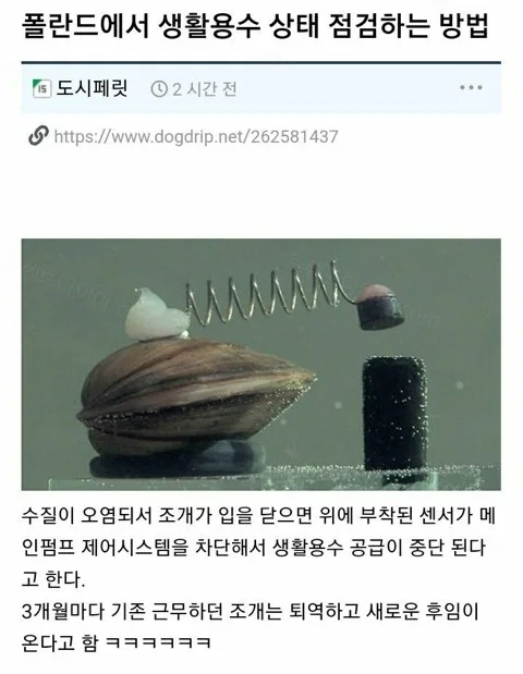 e78a5-6a2c3bfbacfa19.90286454.webp