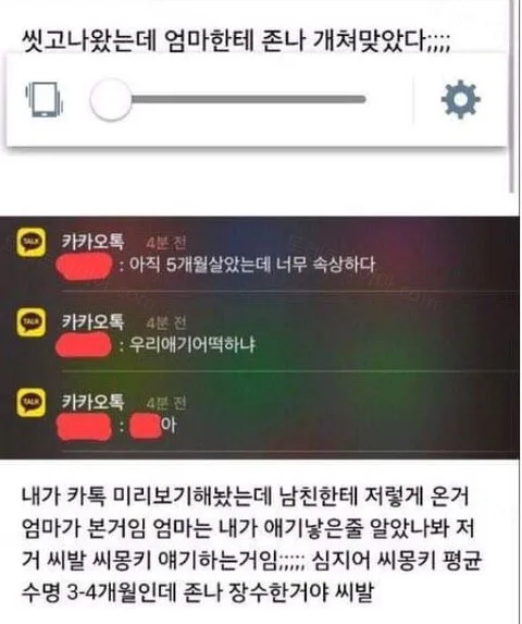 e78a5-6a3a6efac92c79.89121964.webp