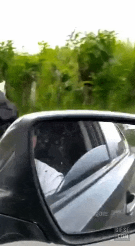e78a5-6a3d27fb222aa2.66193752.gif