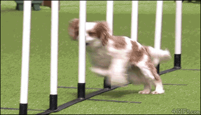 e78a5-6a412bfe895f16.17475329.gif